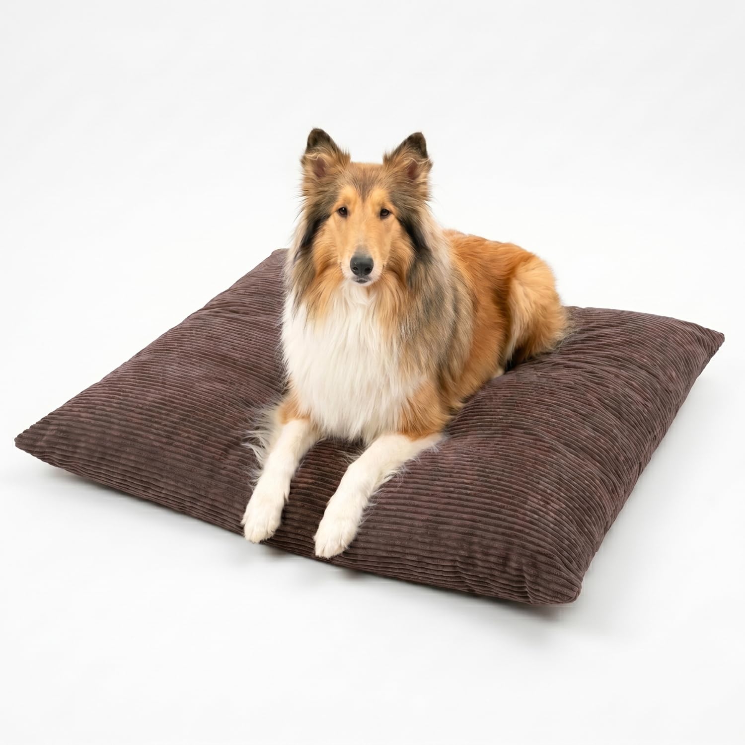 4L Textil Molly Hundebett Hundekissen aus Cord waschbar | Abnehmbarer Bezug