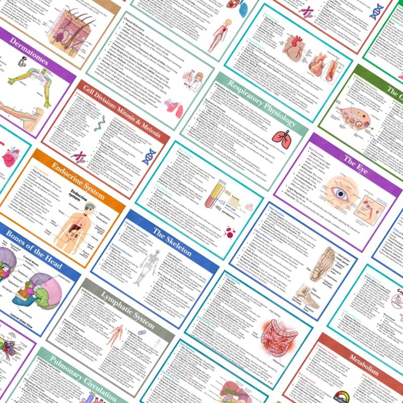 Anatomy and Physiology Flashcards - Double-Sided