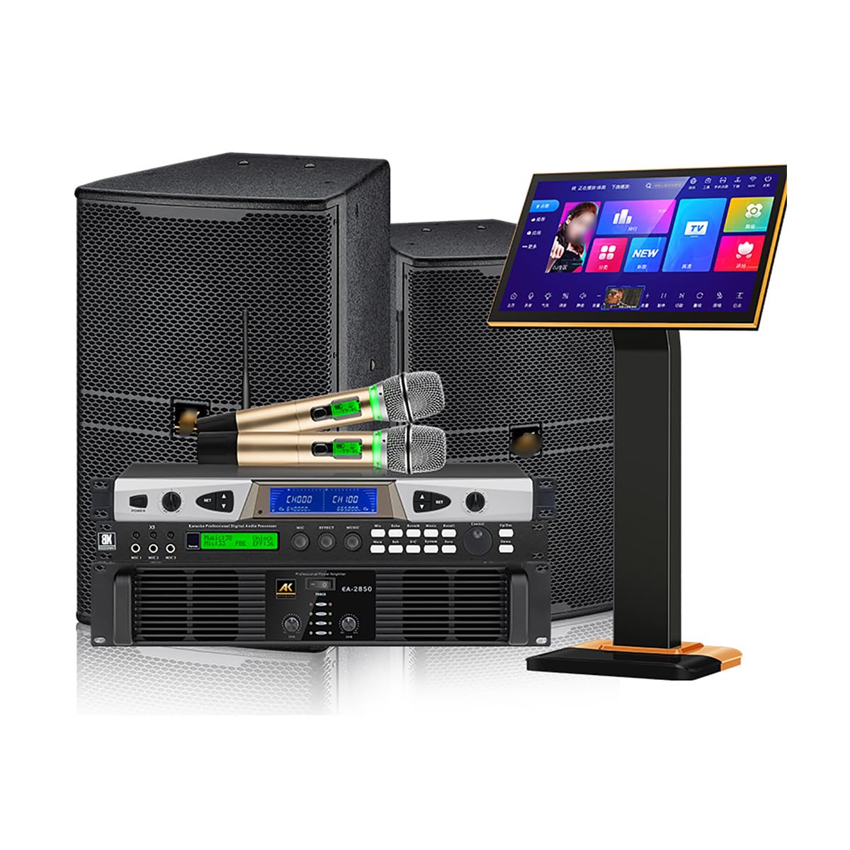 Set Karaoke, con 2 Microfono Wireless Anti-ululato a segmento U, Altoparlante, Supporto Fibra Ottica, HDMI/AV/USB/Com/VGA, per Feste/Adulti/Bambini/Famiglia, Amanti della Musica