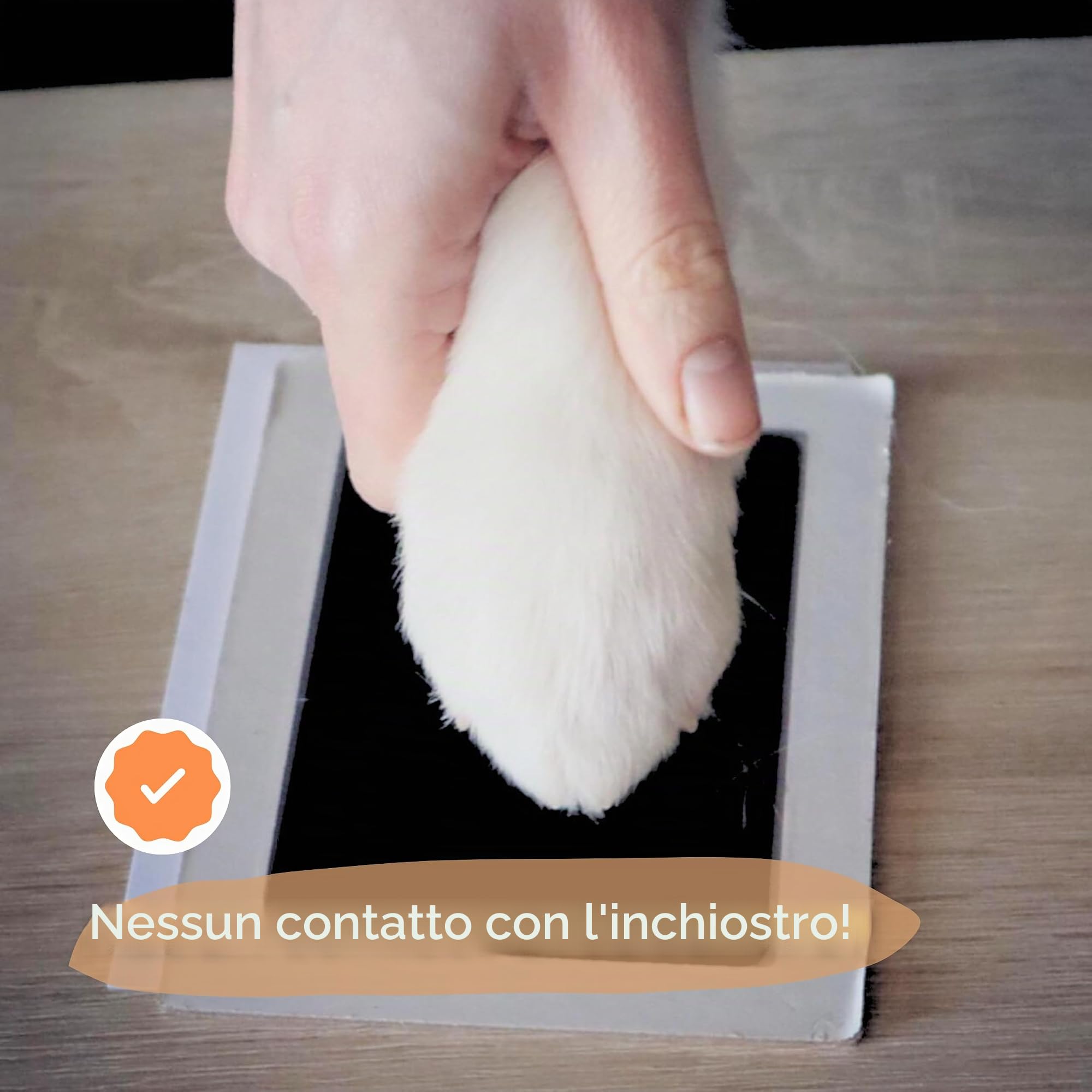 com - Kit per impronte di cane e gatto, per conservare un ricordo, realizzare un tatuaggio o una cornice, Misura grande, Dimensioni: 12,5 x 8 cm
