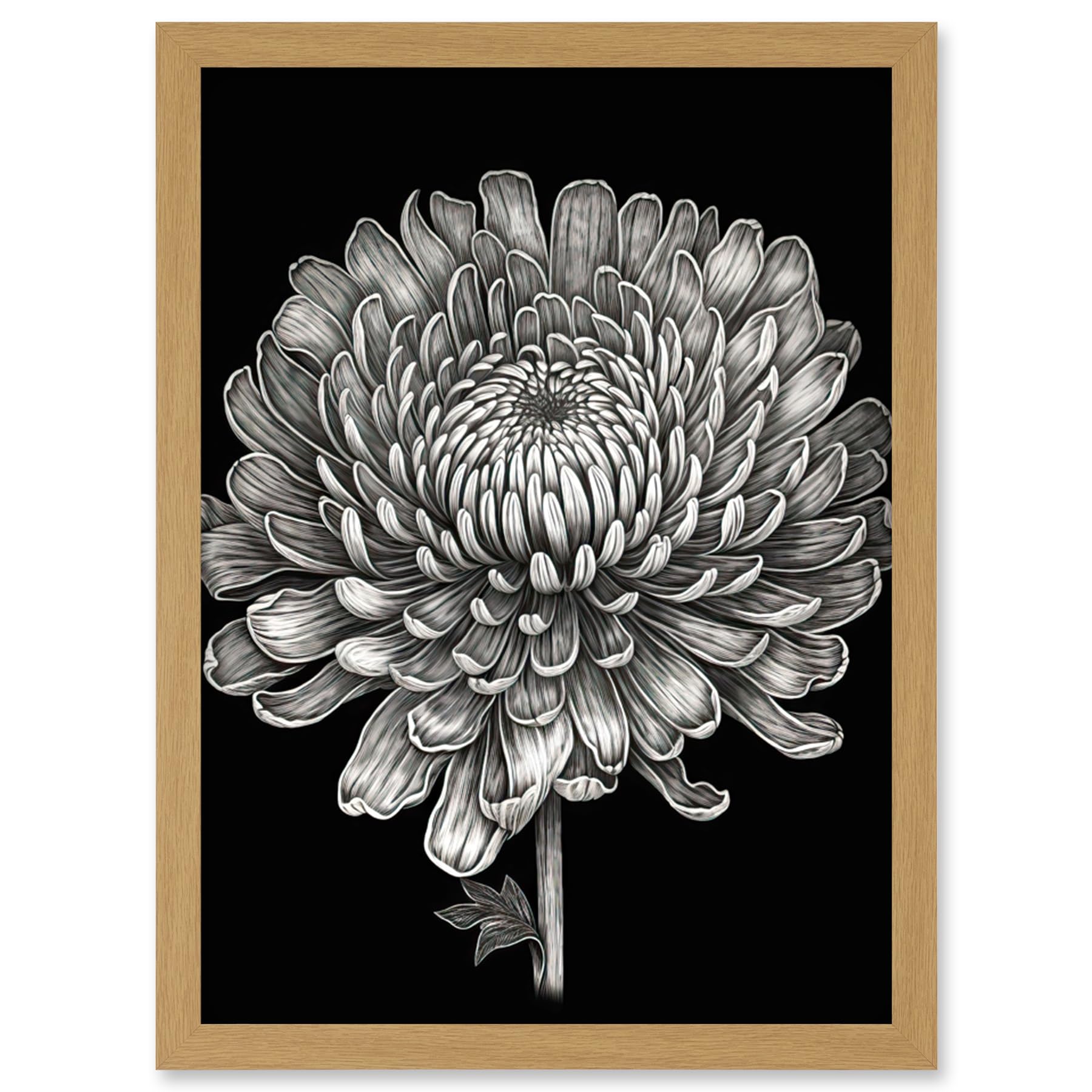 Artery8 Detailed Chrysanthemum Flower Bloom Illustration Artwork Framed Wall Art Print A4