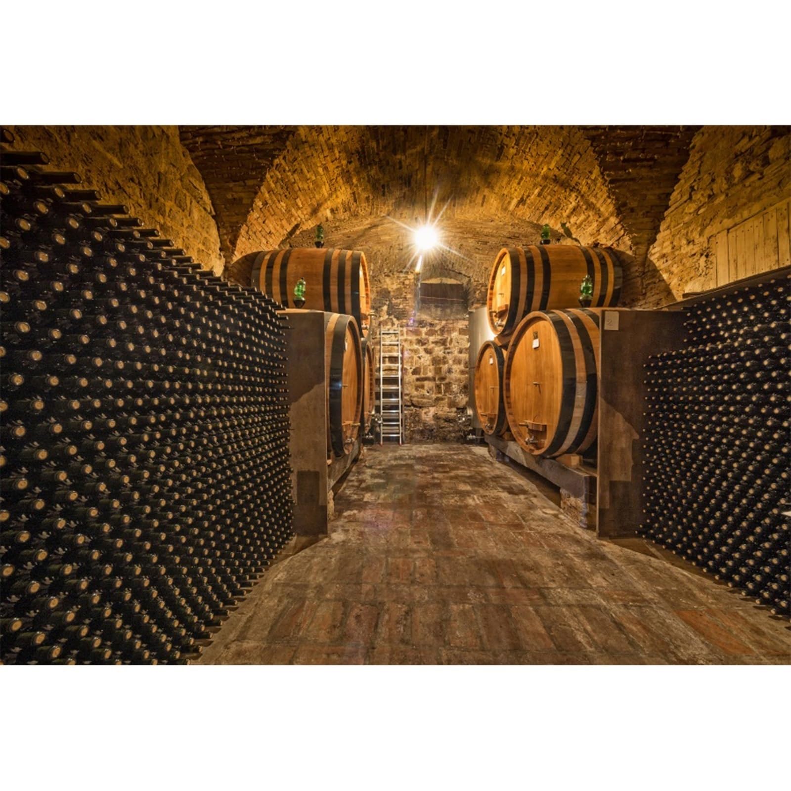 YongFoto 3,5x2,5m Vinyle Photographie Toile de Fond Cave ?vin souterraine Barils en ch?e Bouteilles ?Helle Plancher de Bois Grunge Fond de Studio Photo vidéo Photo Shooting