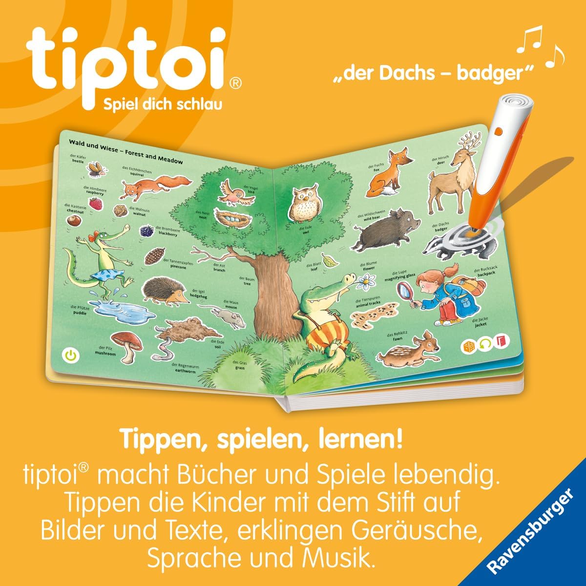 Ravensburger Książka dla dzieci w wieku 2-4 lat | jaki kolor to jest? + plakat dla dzieci, gospodarstwo rolne, zwierzęta