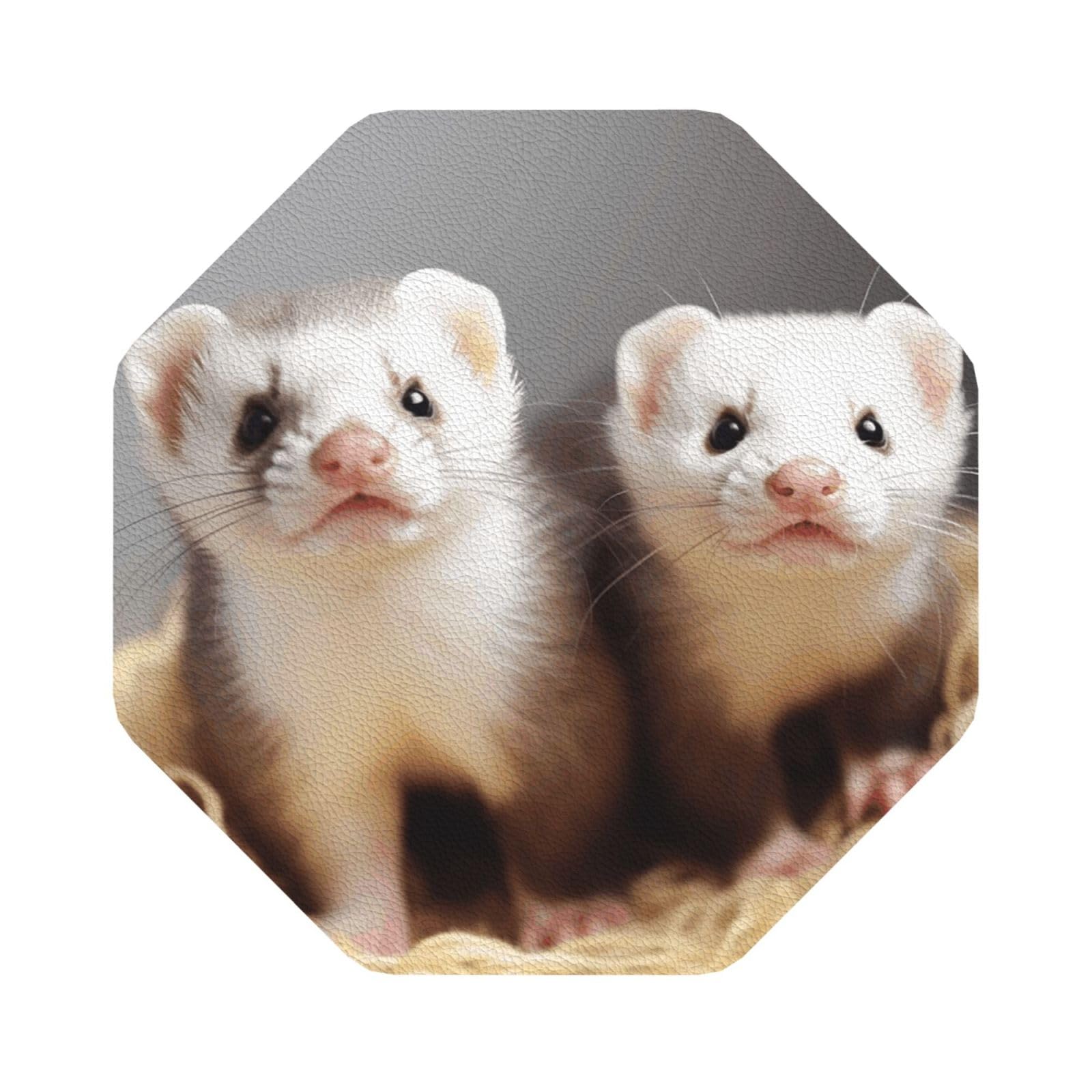 Fodpand Octagon Ferrets Drink Coasters Set Of 4, Heat Resistant Leather Coasters Fuuny Bar Beer Beverage Coaster For Drinks, Absorbent Cup Mat For Tabletop Protection, Housewarming Gift