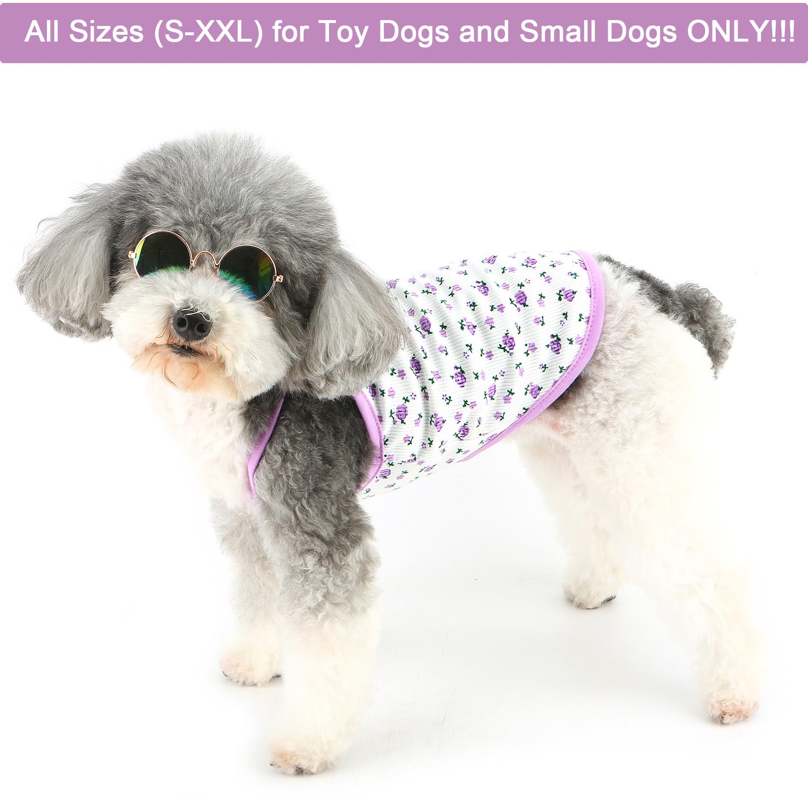 Faith Cross Dog Tee Shirt Sizes for Puppies, Toys, and Large Breeds (Black, Medium 68)