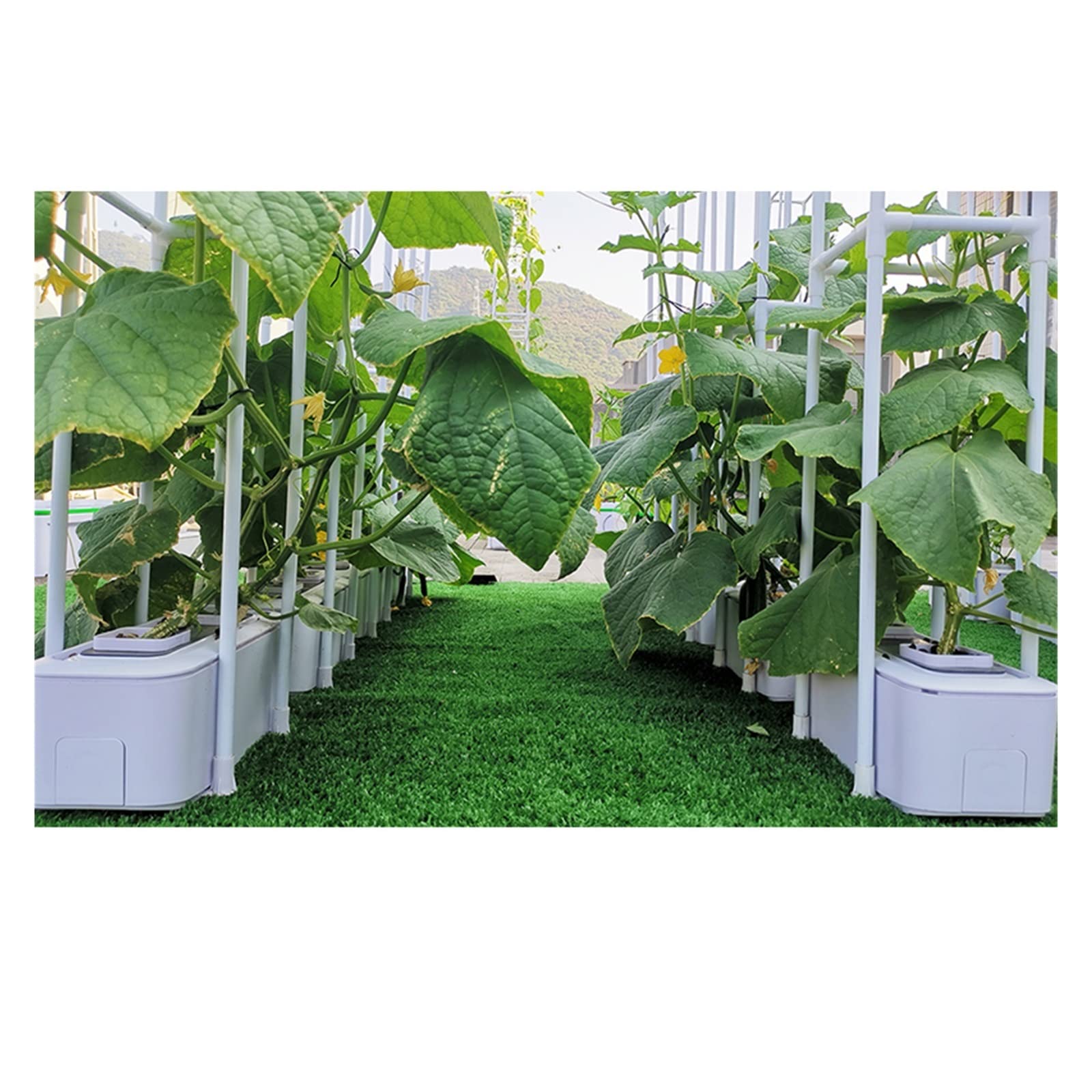 Tower Garden, Inteligentny system uprawy hydroponicznej z kontrolerem Automatyczne przypomnienie Sadzarka samonawadniająca 60" Wspinaczkowa Krata Dla Pomidorów Ogórków(2)
