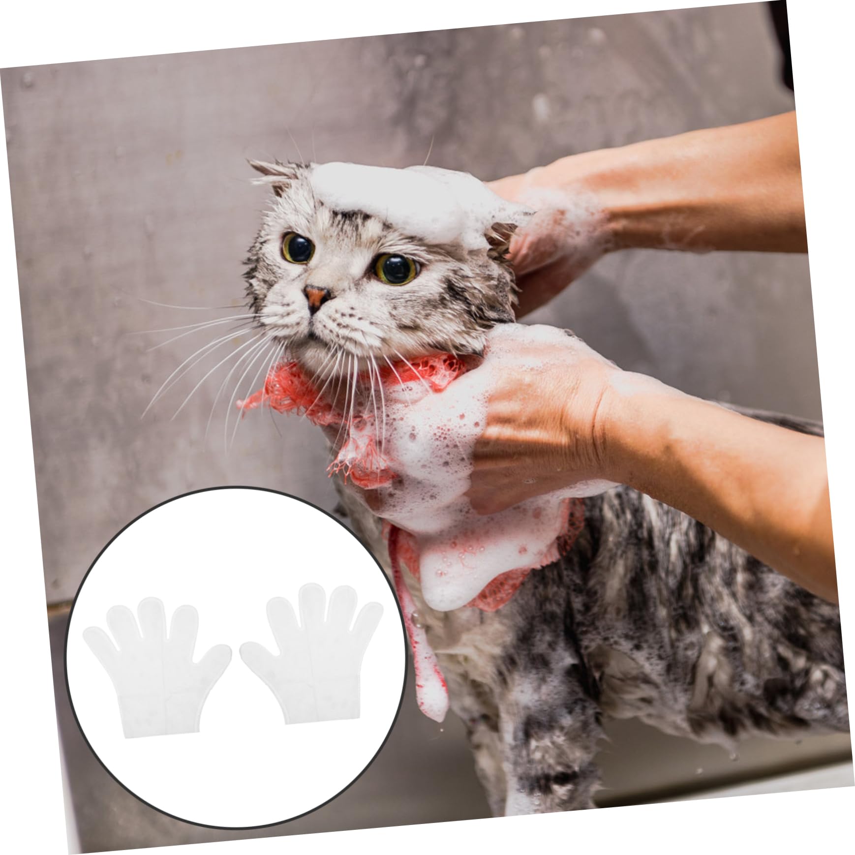 WOONEKY 6piezas Guantes De Limpieza Reutilizables para Guantes para y Gatos Limpieza Sin Agua y Absorbentes Cuidado De