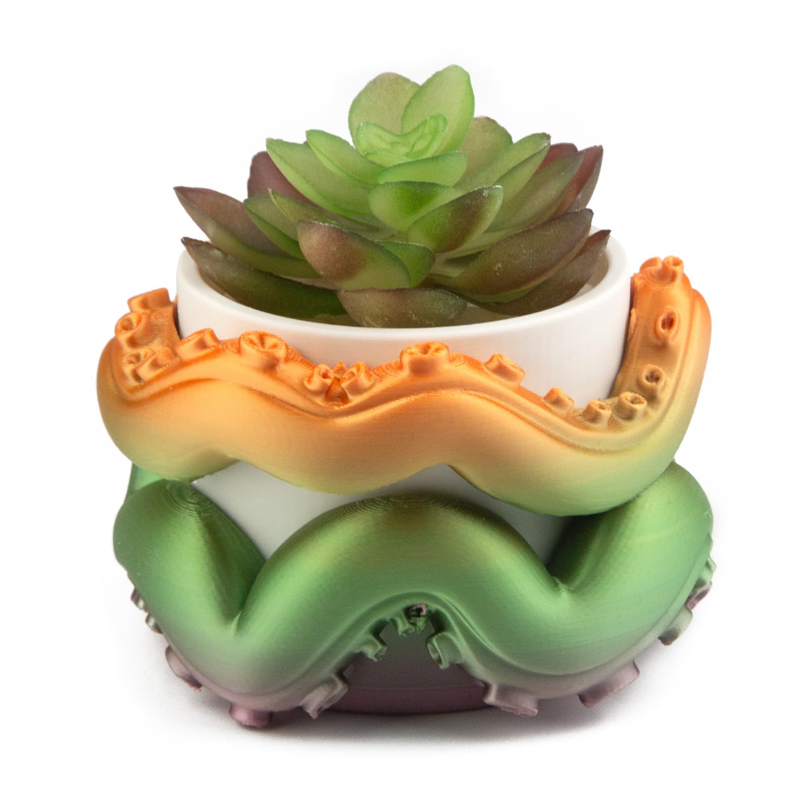 Viabty Novel Tentacle Flower Pot with Drainage Hole, Detachable Base Small Succulent Pot, Indoor Small Planters Cute Cactus for Home Decor and Office Desk Decoration
