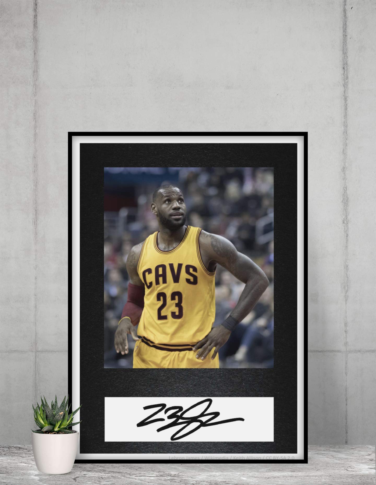 Lebron James Autograph Copy 20x30 A4 Unframed Printed Reprint Picture Gift