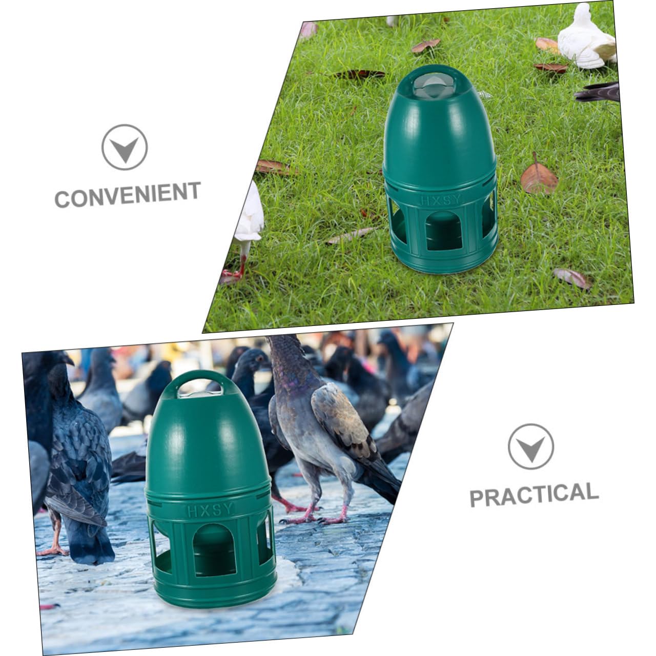 Abreuvoir à Oiseaux 10 L en Plastique Vert, Rond et Détachable