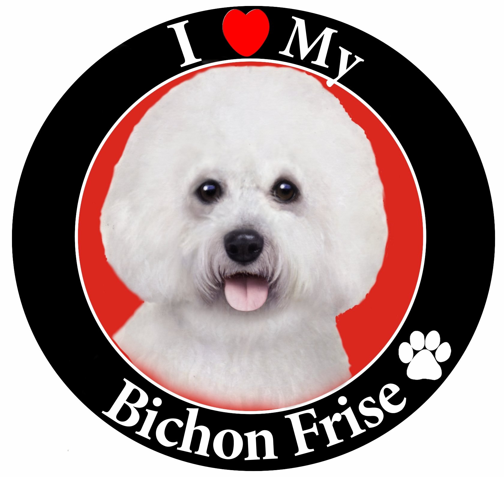I Love My Bichon Frise Car Magnet with Realistic Looking Bichon Frise Photograph in The Center Covered in UV Gloss for Weather and Fading Protection Circle Shaped Magnet Measures 5.25 Inches Diameter