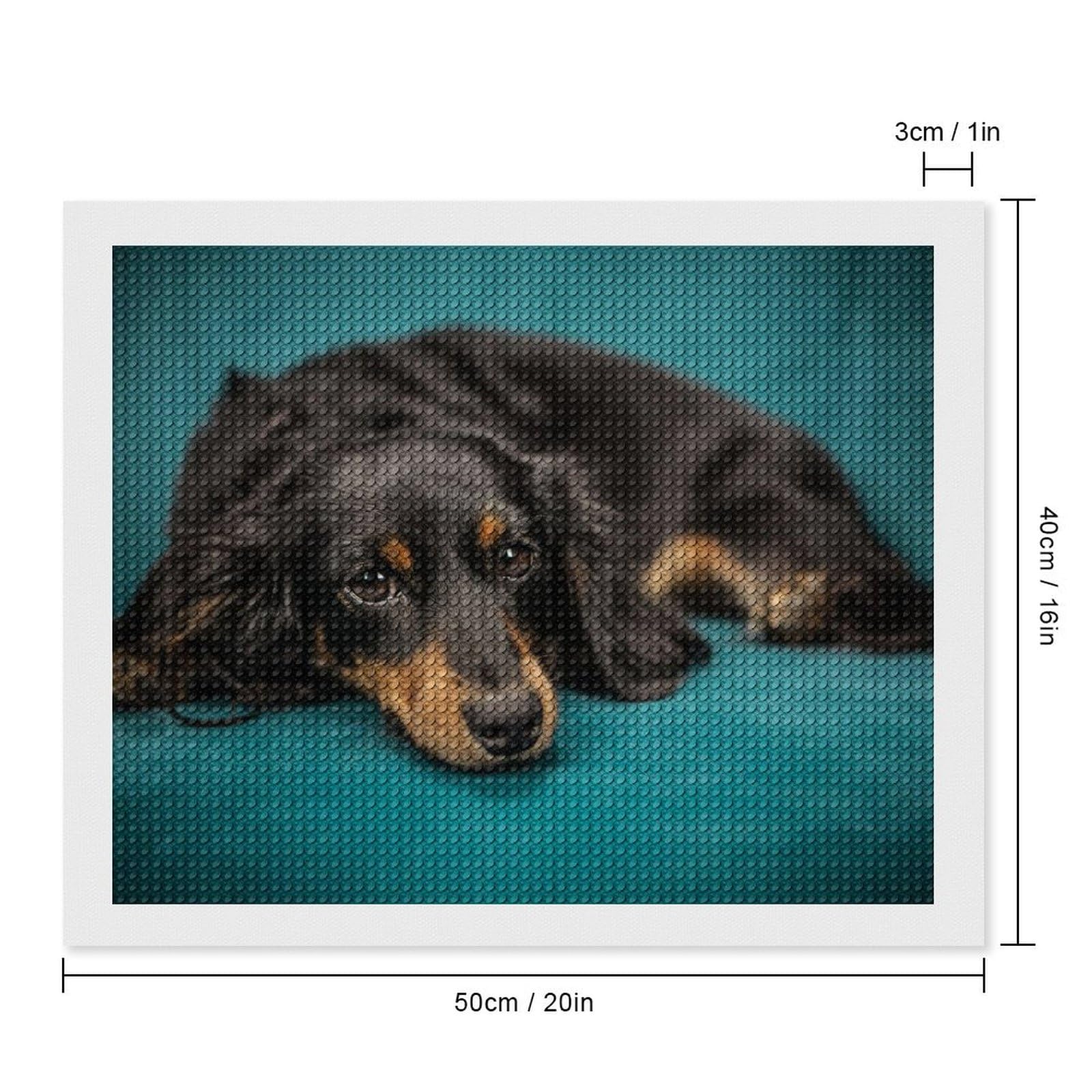 Amazon.co.jp: ソファーの上でくつろぐ ダックスフンド 犬  