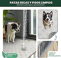 Vista 5 de FXW Almohadillas lavables para orina para perros, almohadillas para cachorros con súper absorción, diseñadas específicamente para FXW