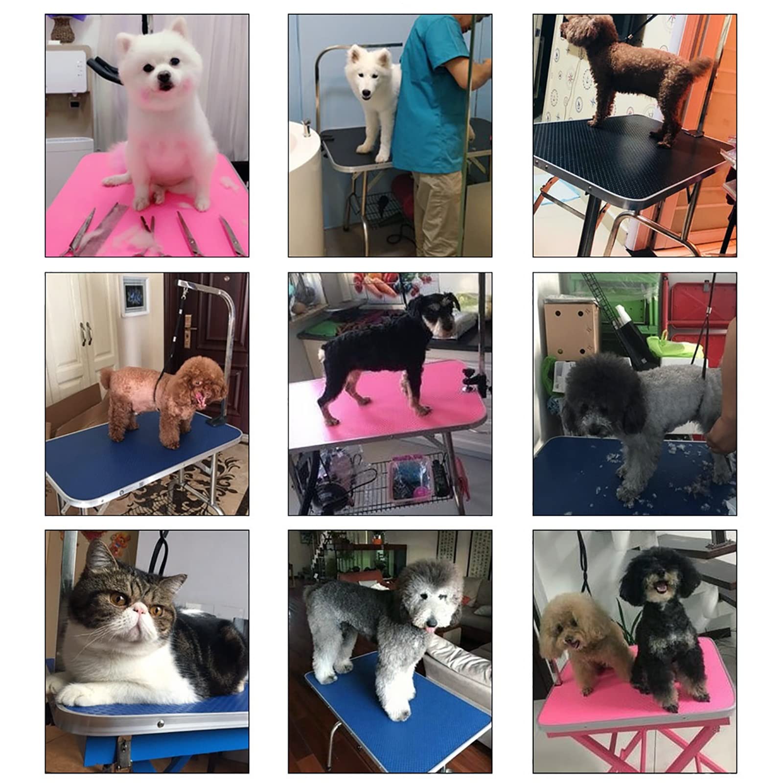 Tavolo da toelettatura Pieghevole per Cani da Compagnia con bracciolo Regolabile in Altezza Tavolo per asciugare la casa con Cappio per Cani di Piccola Taglia Gatti capacità Massima Antiscivolo Fino