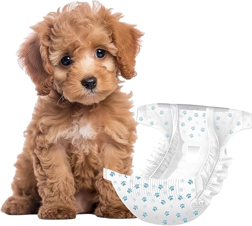 IMMCUTE Pañales para perras, 30 unidades, pañales desechables súper absorbentes para perras con secado rápido y a prueba de fugas, pañales para