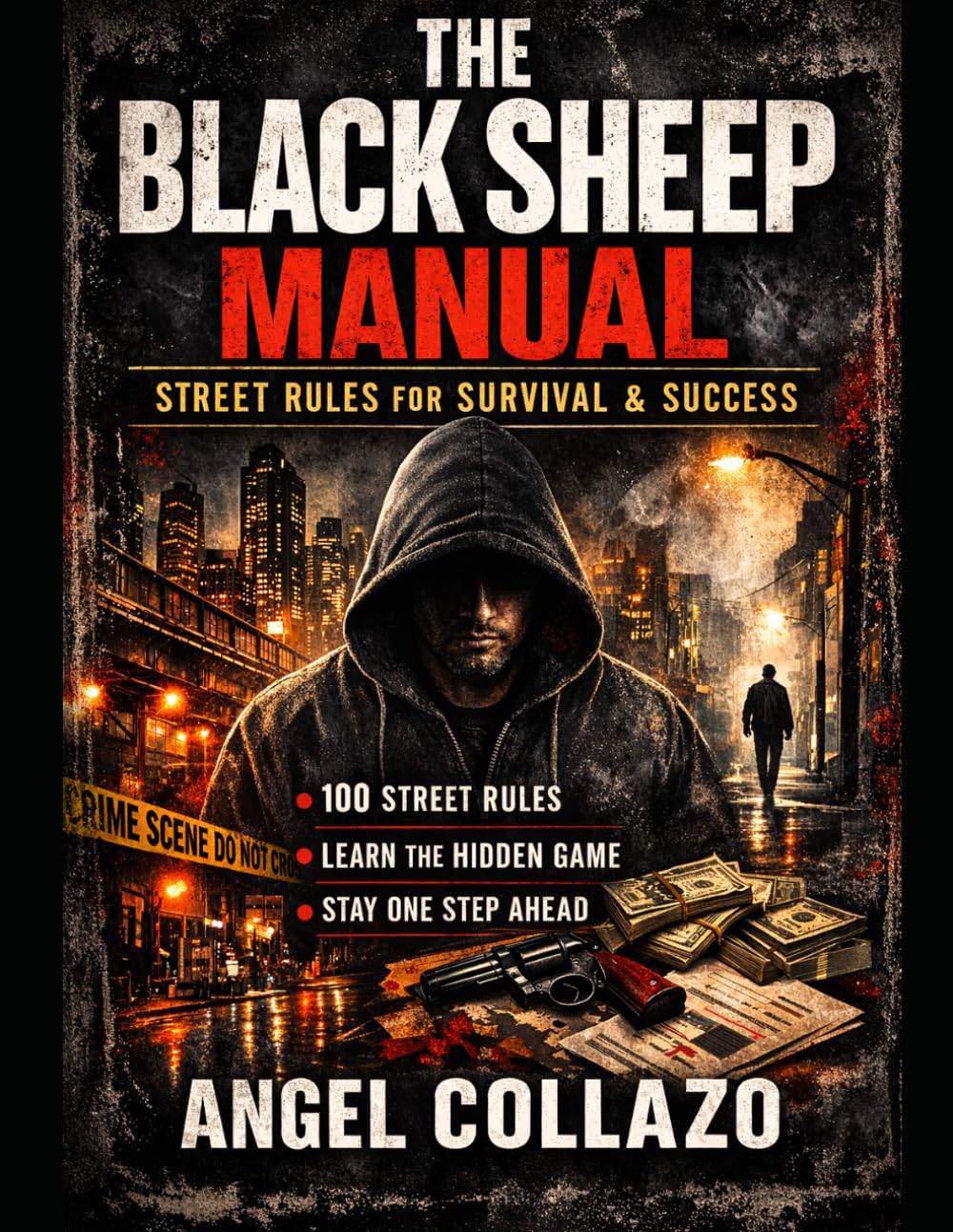 The Black Sheep Manual: Understanding Power, Information & How Systems Really Operate