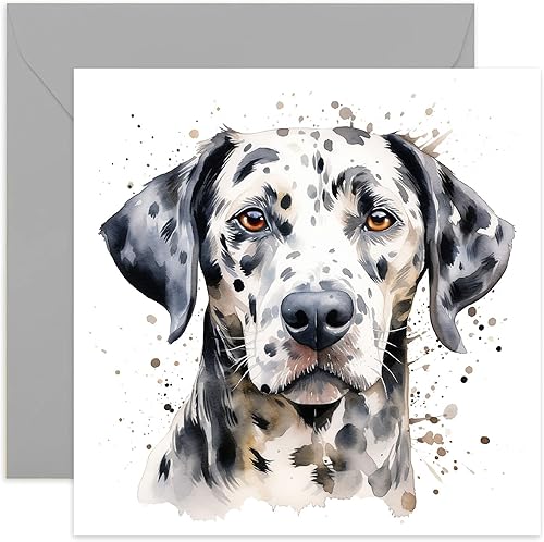 Old English Co. Tarjeta de perro de acuarela Tarjeta de perro de dálmata para cumpleaños de dueño de mascotas Tarjeta de bebé Just Because for Him