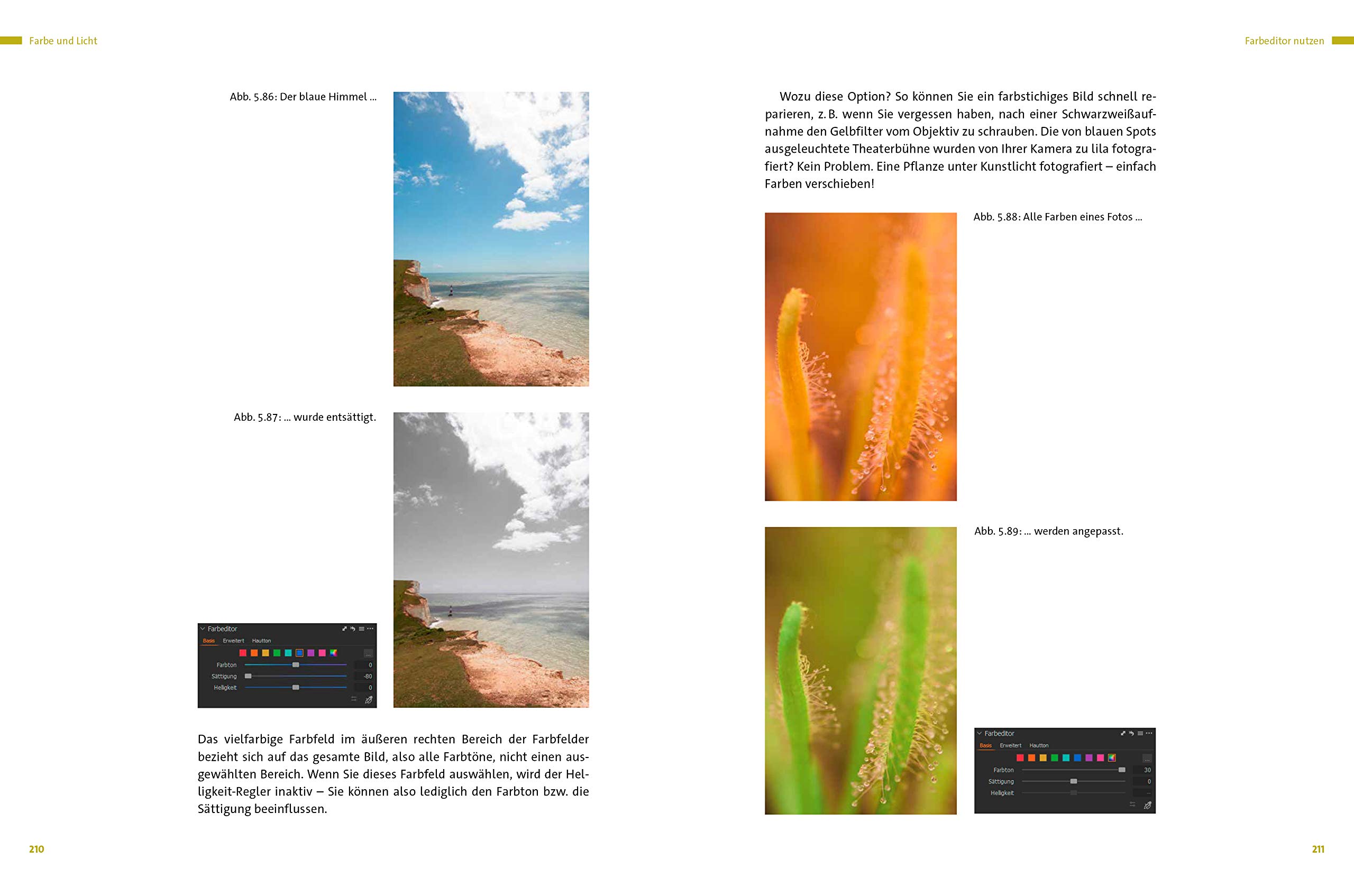 Capture One Pro: Verstehen und anwenden