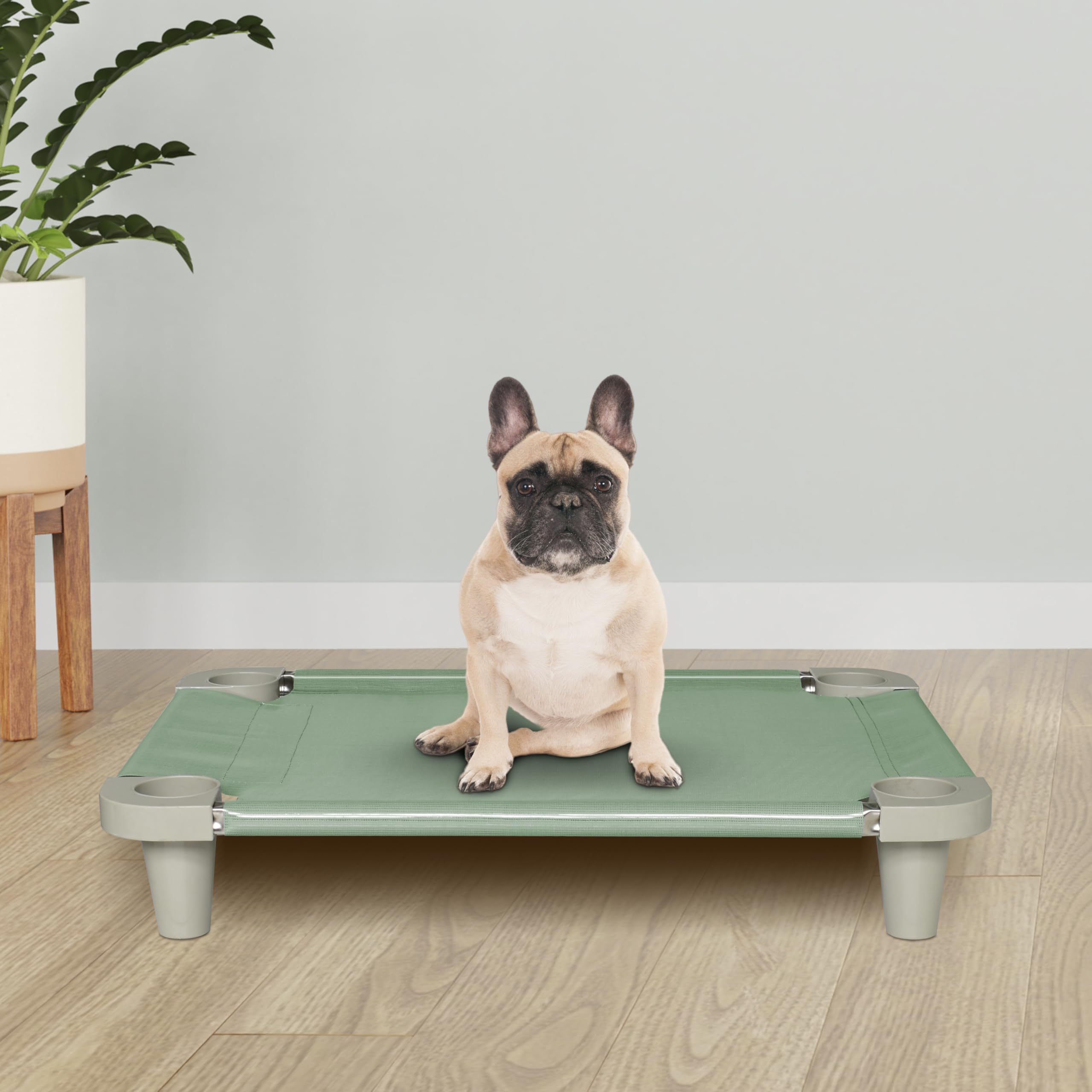 Acrimet Cooling Elevated Pet Dog Bed Cot for Small Dogs Washable and Breathable Mesh Fabric, Stainless Steel Frame - Image 2