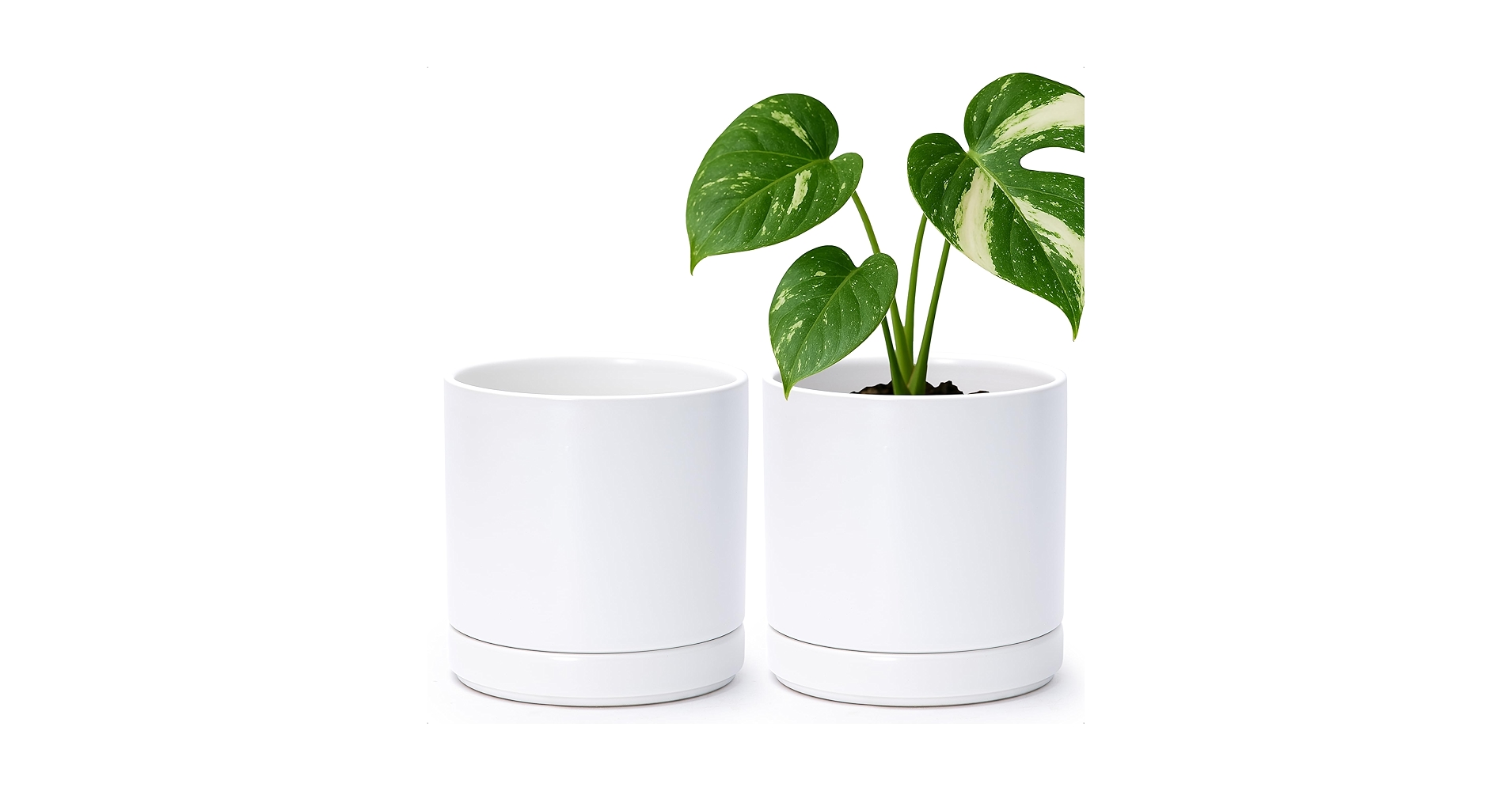 鉢・プランター P-CHAMBER.SRLMEX-S P-P POT neighborhood Member's Mark 22