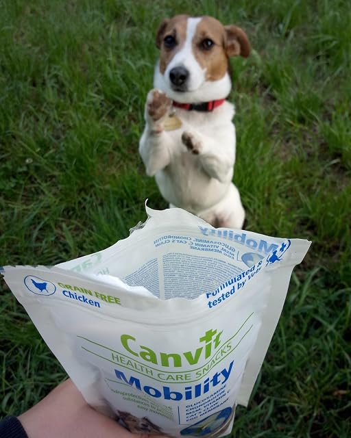 Foto 4 de 8 de Canvit Recompensa de movimiento saludable para perros, 200 g
