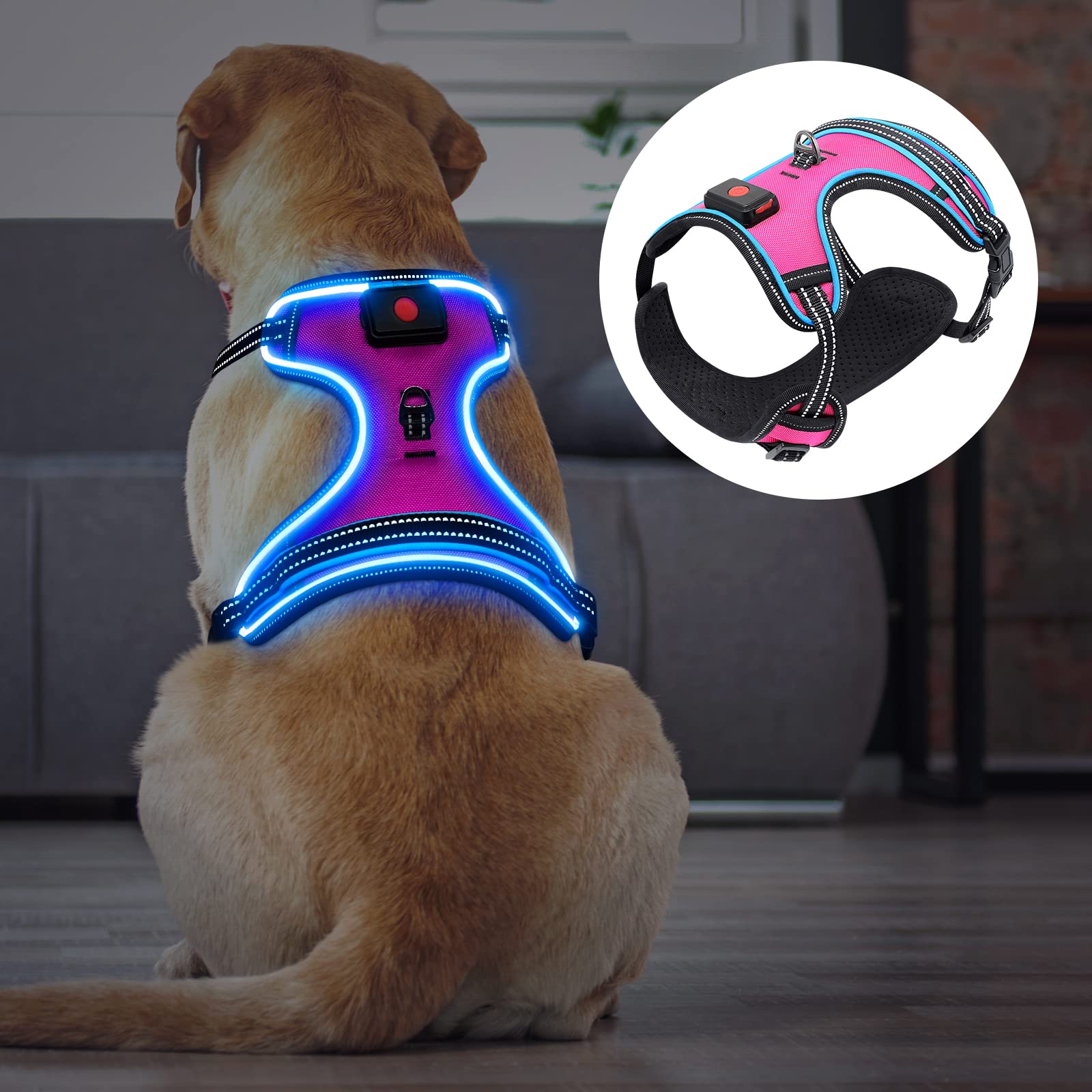 Ezierfy Leuchtendes Hundegeschirr, wiederaufladbares LED-Hun