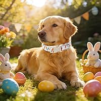 Vista 34 de Unique Style Paws - Collar rosa con hebilla de metal, duradero y lindo para perros pequeños a grandes