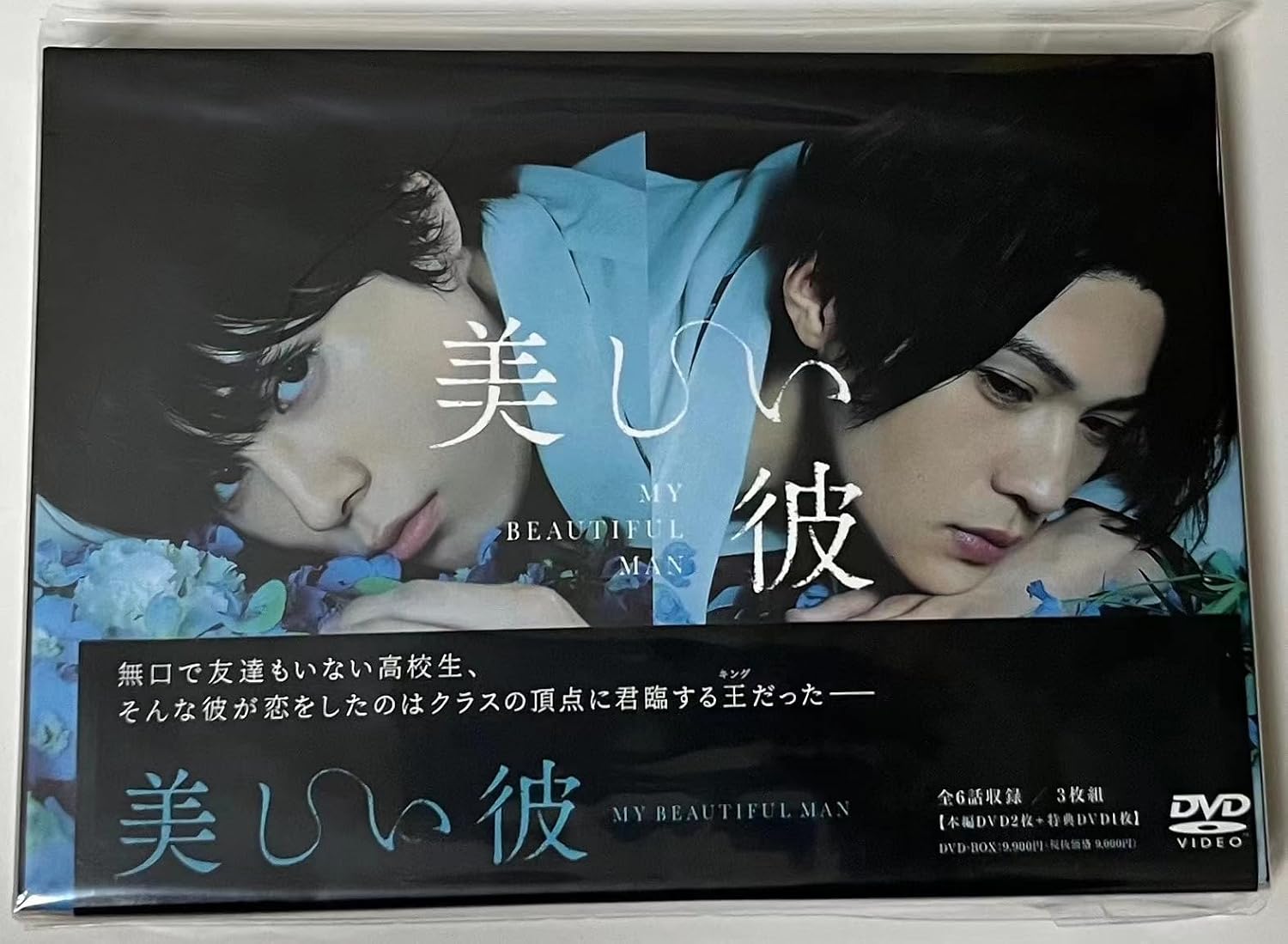 美しい彼 DVD-BOX 美しい彼 シーズン2 ＆ ～special edit version
