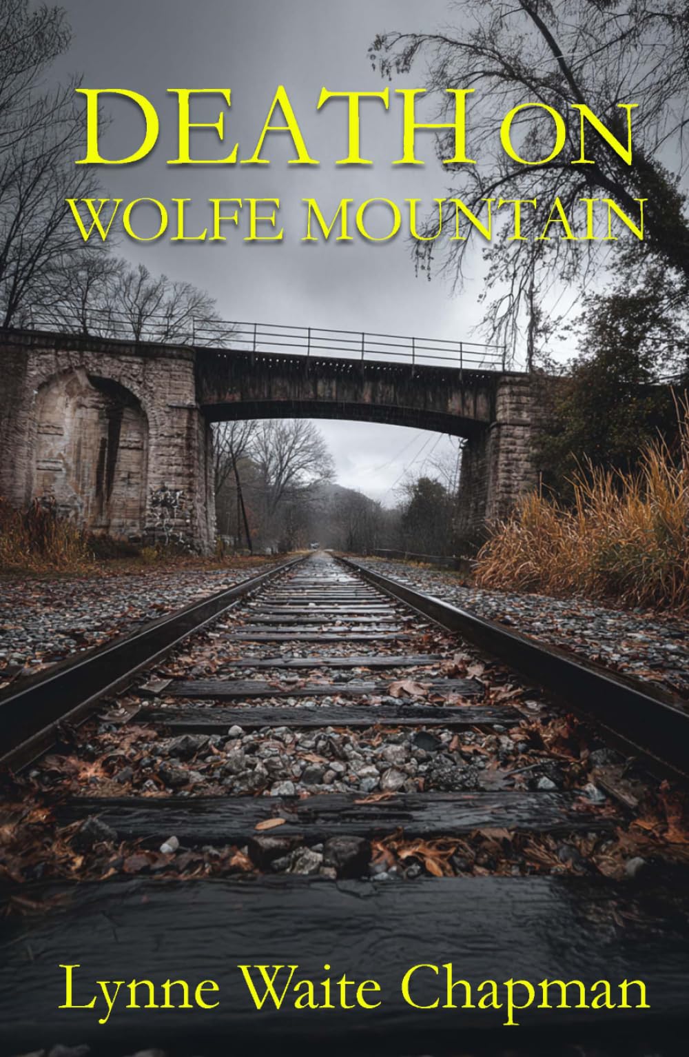 Death on Wolfe Mountain