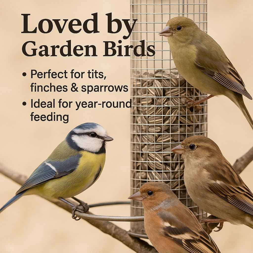 GiDeli Semillas de girasol a rayas 25 kg – Comida para pájaros todo el año – Comida dispersa para aves silvestres y aves – Comida para pájaros de invierno para carboneros, pinzones, gorriones – rico