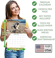 Vista 872 de Razas de Perros 2017