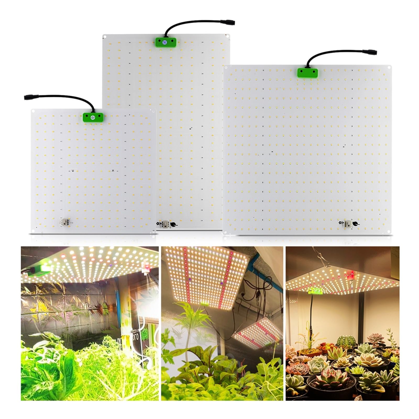 Lampada per Piante, Spettro completo LED Coltiva La Luce LM281B Diodo LED Sunlike Coltiva La Lampada for La Serra Idroponica Crescita Delle Piante Illuminazione(QBX850Pro)