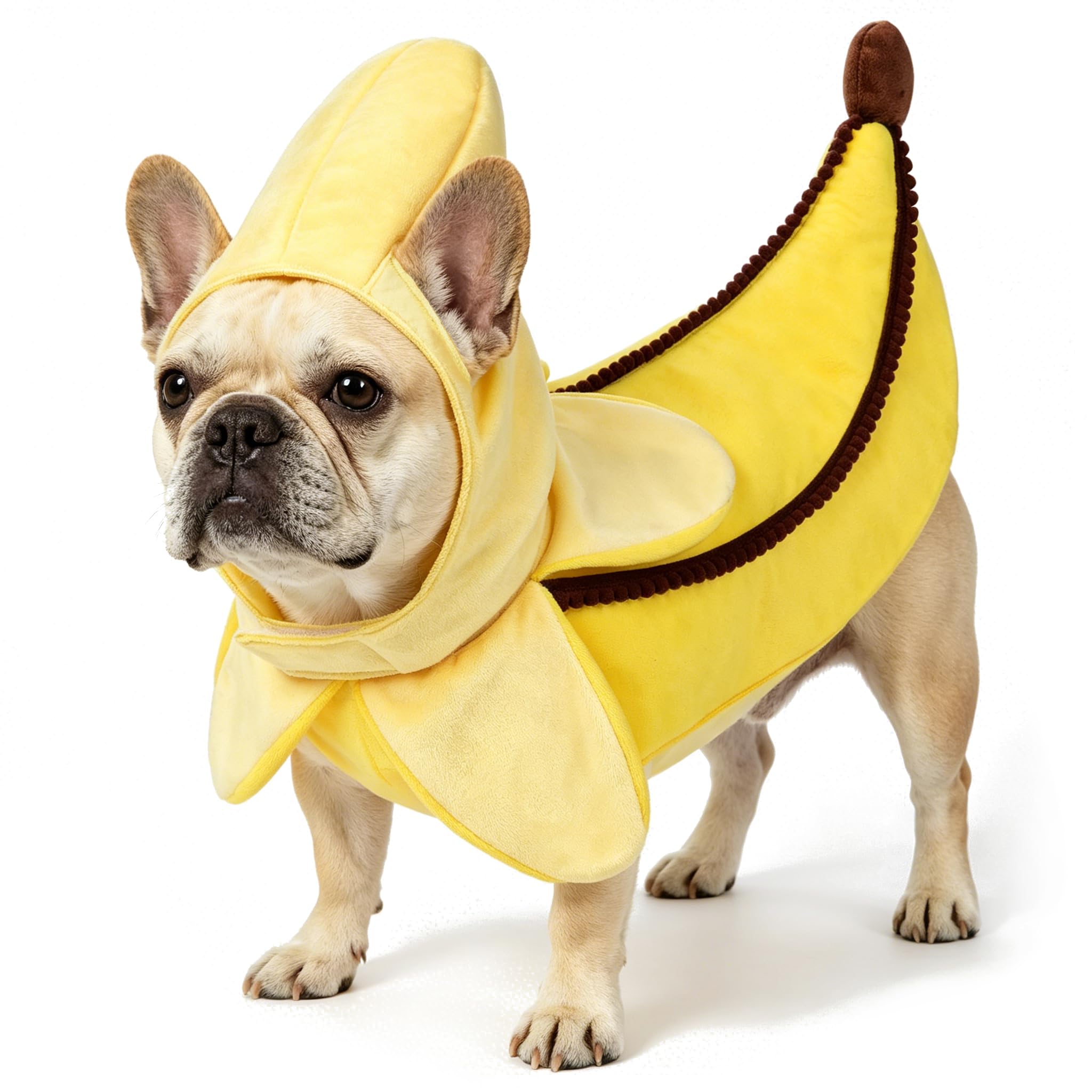 ReliBeauty Costume d'Halloween amusant pour chien en peluche douce, jaune, taille M