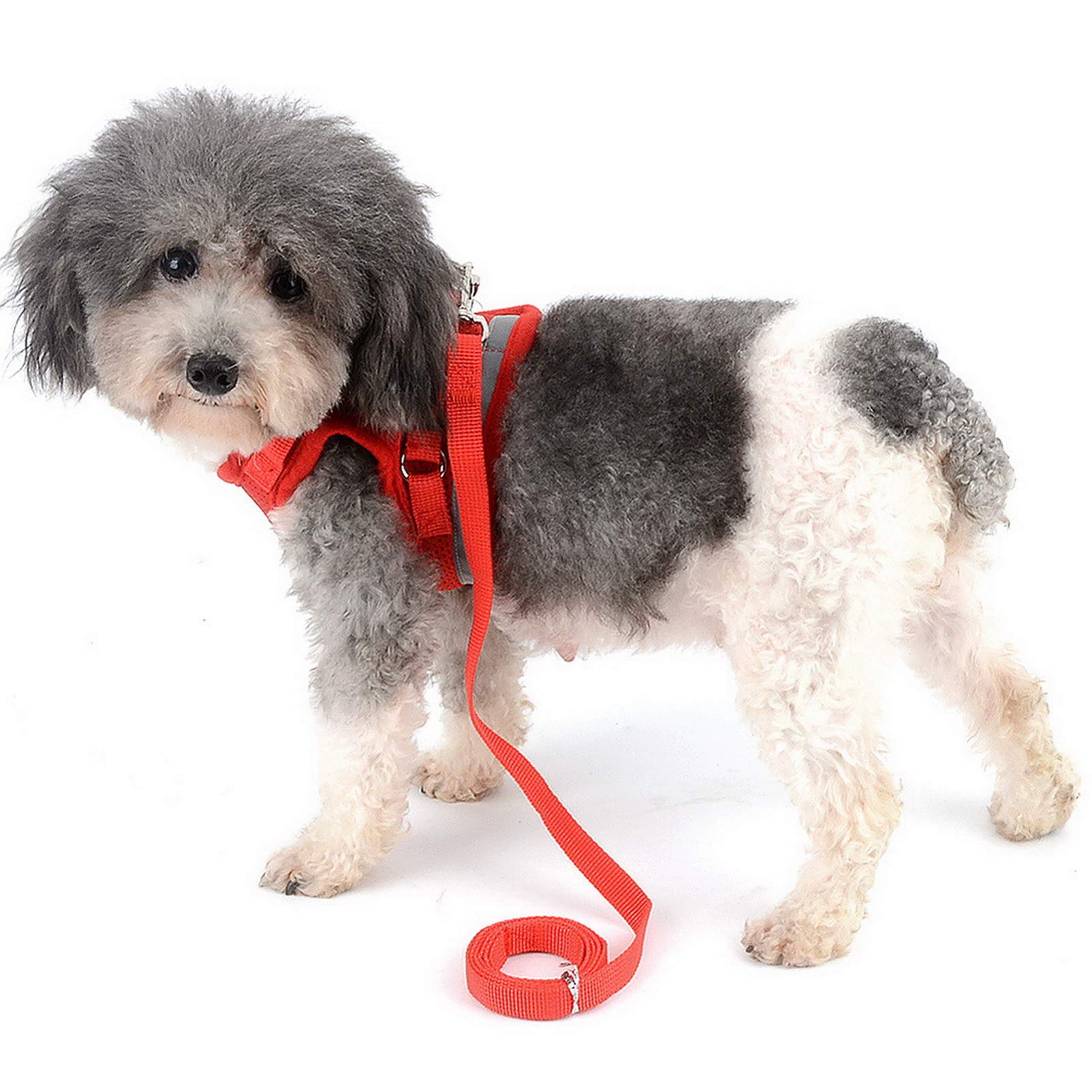 メッシュ 犬用 ハーネス 胴輪 リード セット 超小型犬 小型犬 子犬 猫 散歩 Amazon | SMALLLEE_LUCKY_STORE ハーネス 犬 胴輪 はーねすリード