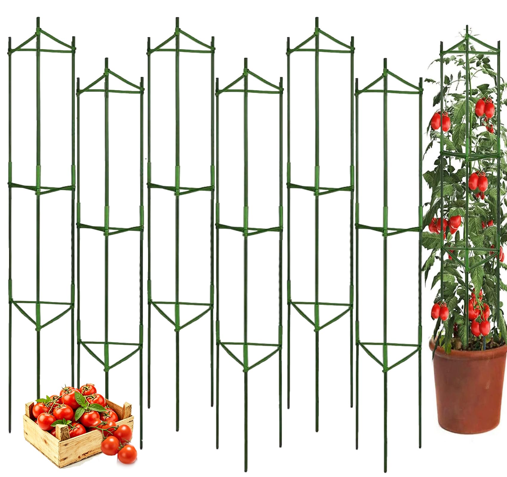 Moirsunt 6 Pack Tomato Cage