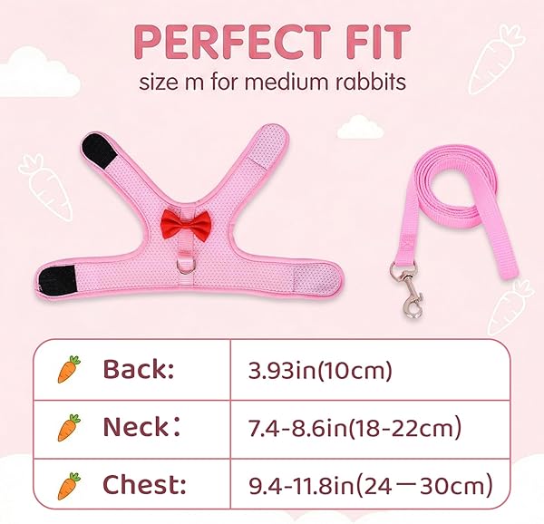 Guinzaglio Per Coniglio Nano, imbracatura con guinzaglio, Accessori Conigli, Stoviglie Con Guinzaglio, Pettorina Regolabile, pettorina coniglio nano(Rosa, M) - 2