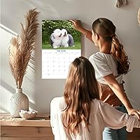 Vista 890 de Razas de Perros 2017