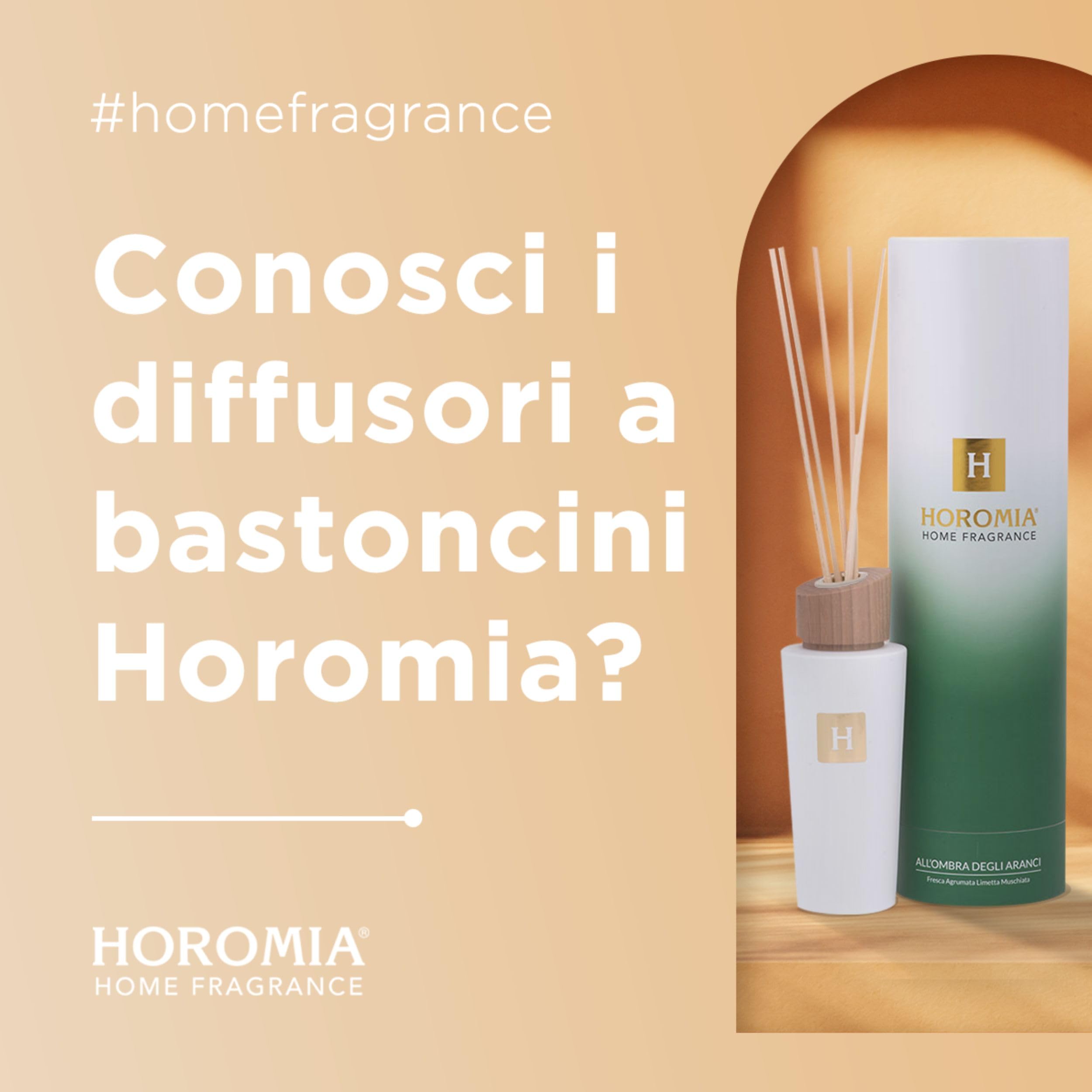 HOROMIA Diffusore Profumo Ambiente con Bastoncini Arancio e Cannella 200ml - Diffusore in Vetro con Bastoncini in Rattan