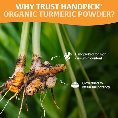 Miniatura 6 de HANDPICK, Cúrcuma orgánica en polvo con curcumina (14 onzas/397g) | Origen auténtico indio | Sin gluten | Hecho de raíz de cúrcuma