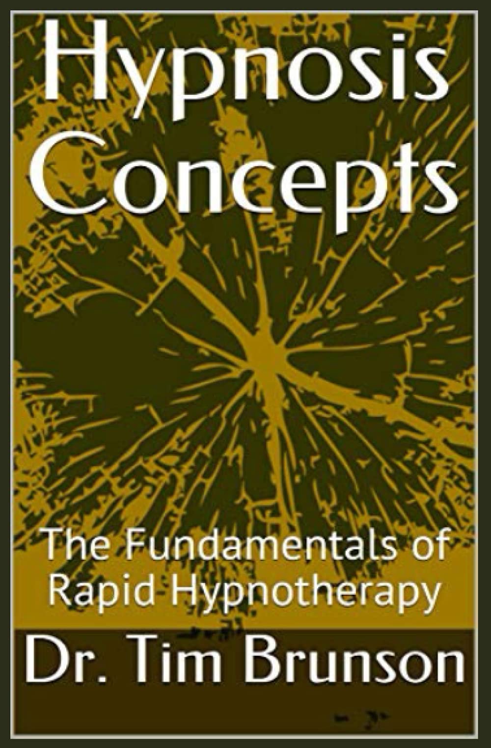 Hypnosis Concepts: The Fundamentals of Rapid Hypnotherapy (Elman Hypnotherapy: Beyond the Basics)