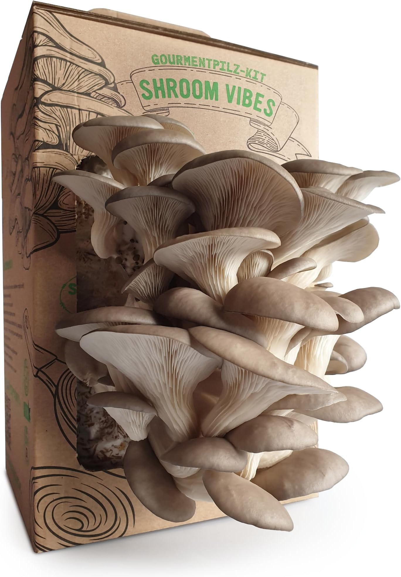 Hawlik BIO Shiitake Pilzzucht Set - 3 Kg Fertige Kultur Für Frische Pilze Zuhause