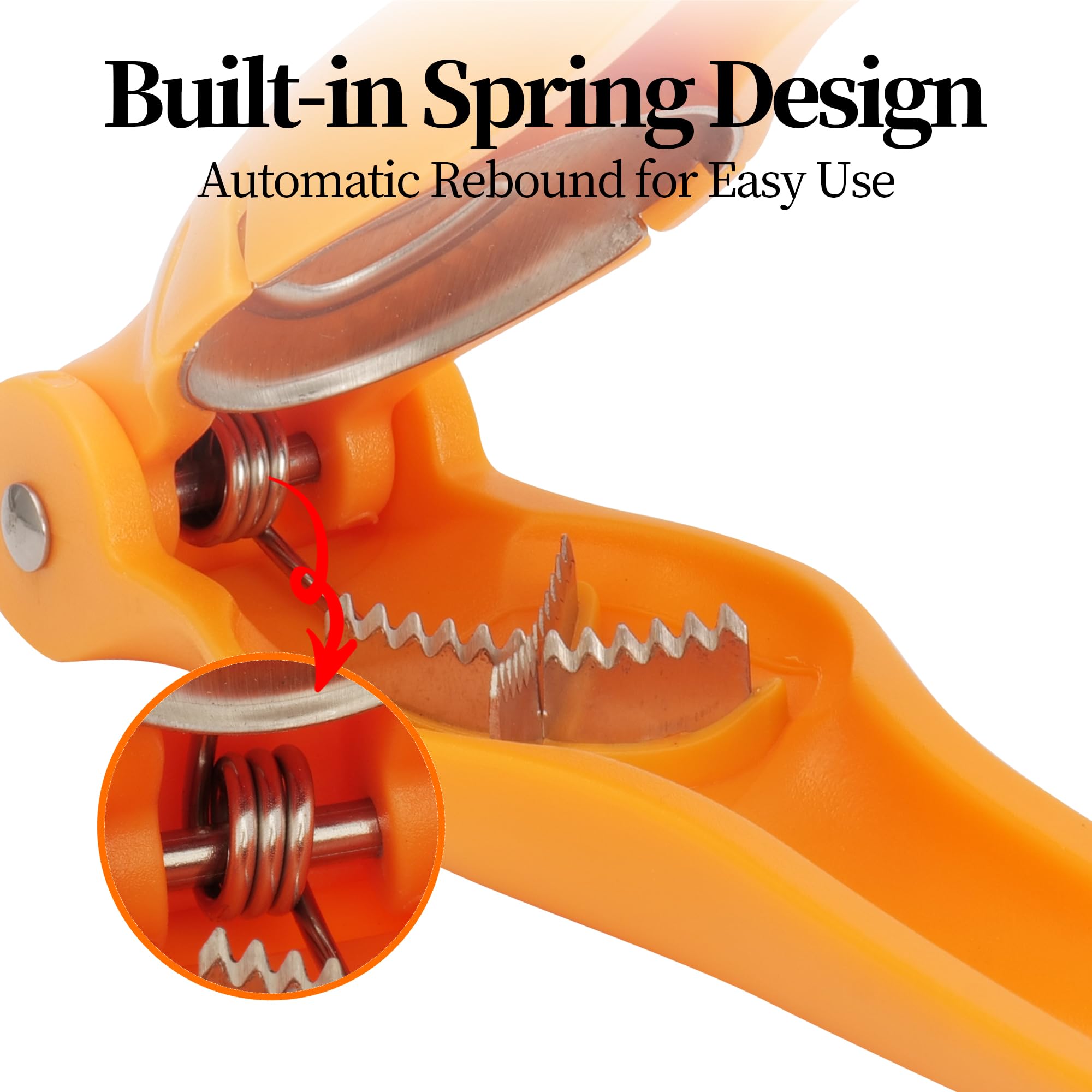 TJ POP Pelapatate per castagne, strumento durevole per tagliare castagne, clip portatile per castagne, nocciole, nocciole, nocciole, nocciole, nocciole, aprifrutta secca, utensile da cucina ergonomico