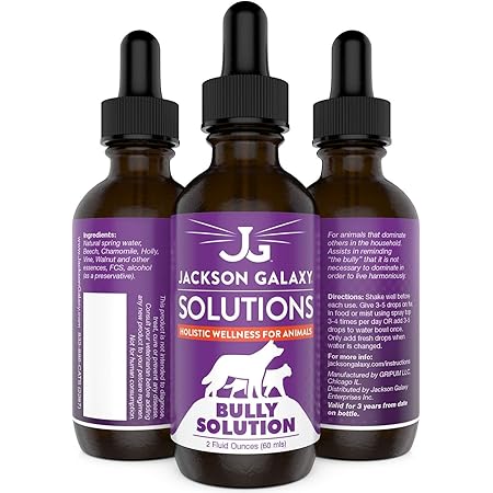 jackson galaxy vault