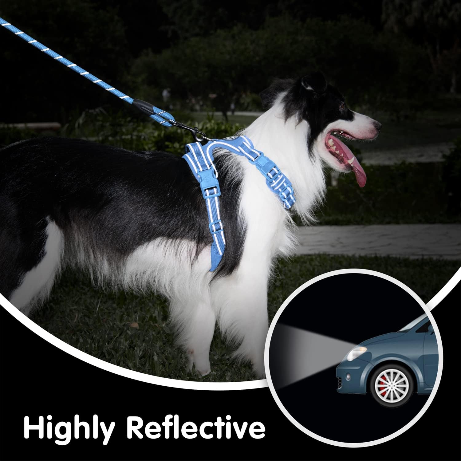 PoyPet No Pull Dog Harness and 5 Feet Leash Set, Release on Neck Reflective Adjustable Pet Vest, Front & Back 2 D-Ring and Soft Padded Pet Harness with Handle for Small to Large Dogs(Light Blue,XL)