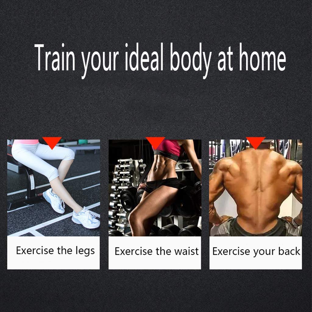 Rameur pour Professionnel Assis à la Maison, rameur Silencieux Multifonctionnel d'intérieur avec réglage de la résistance, équipement de Fitness Abdominal, Musculation