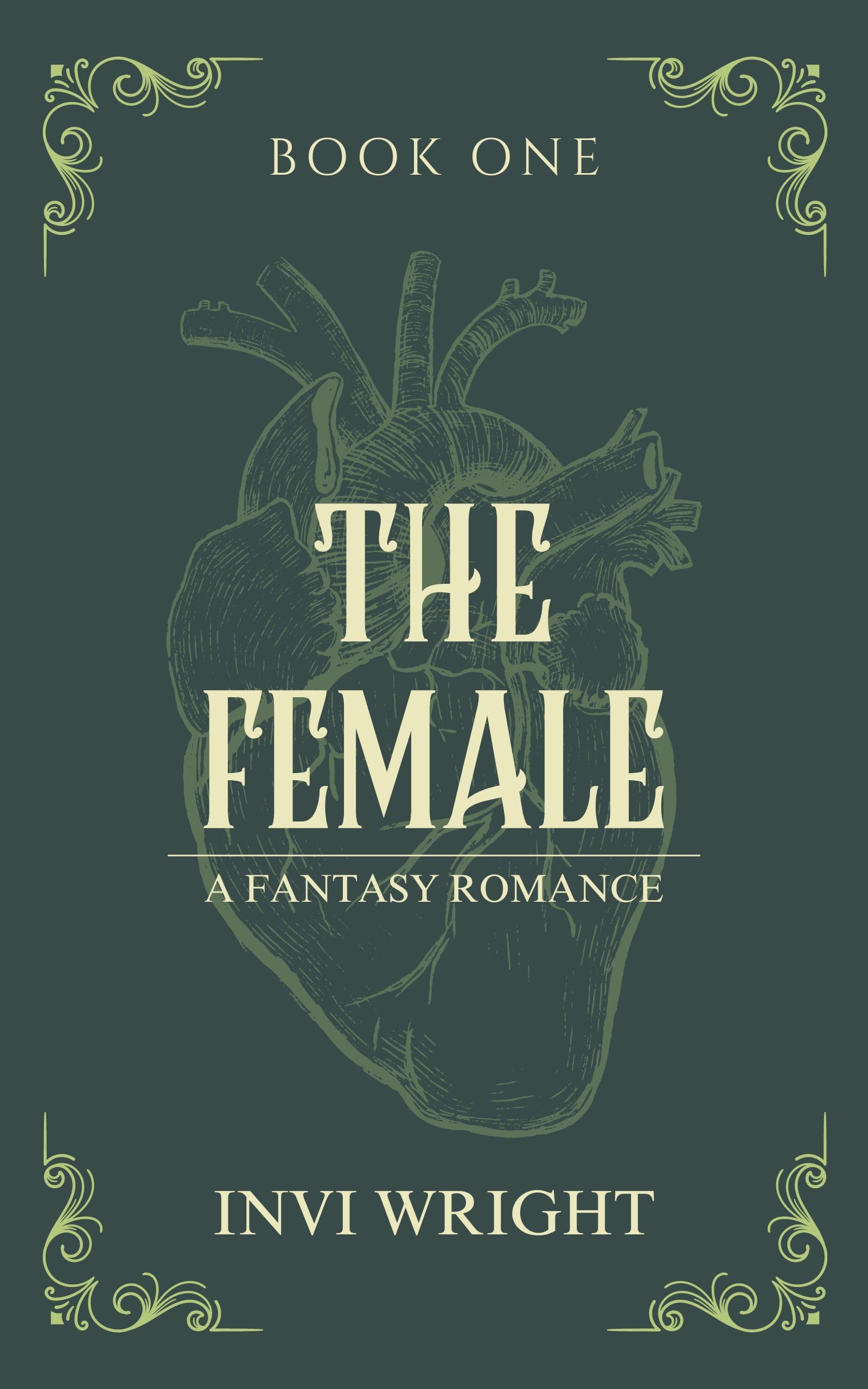 Cover image of The Female by Invi Wright