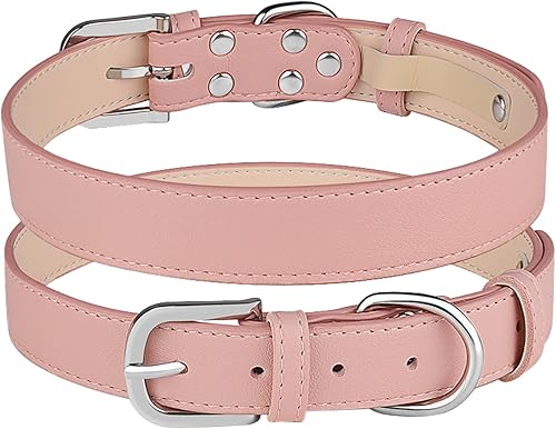 Collar de cuero para perro pequeño, mediano y grande, ajustable, impermeable, con hebilla de aleación, resistente para cachorros y gatitos