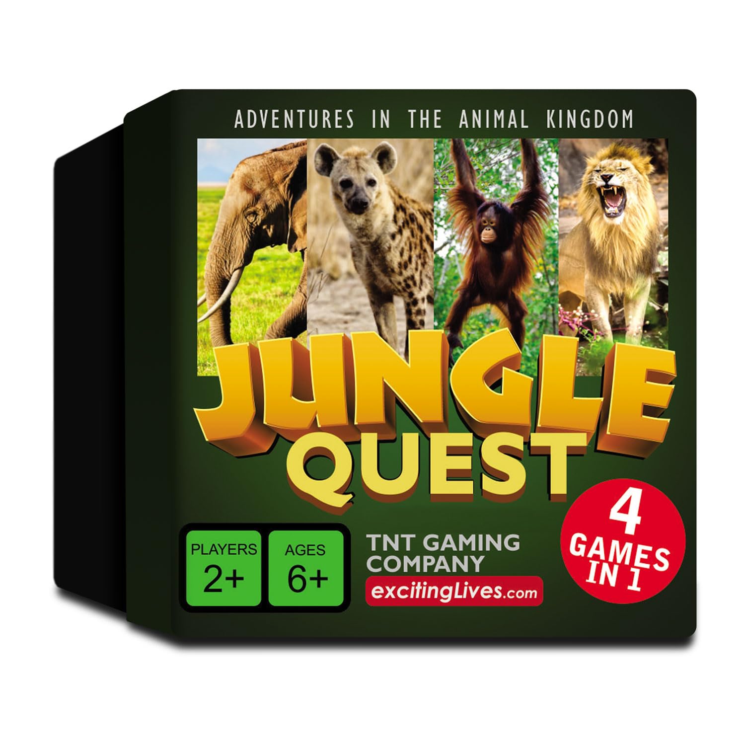 Jungle Quest: Animal & Wildlife Trivia, Educational Learning Card Game