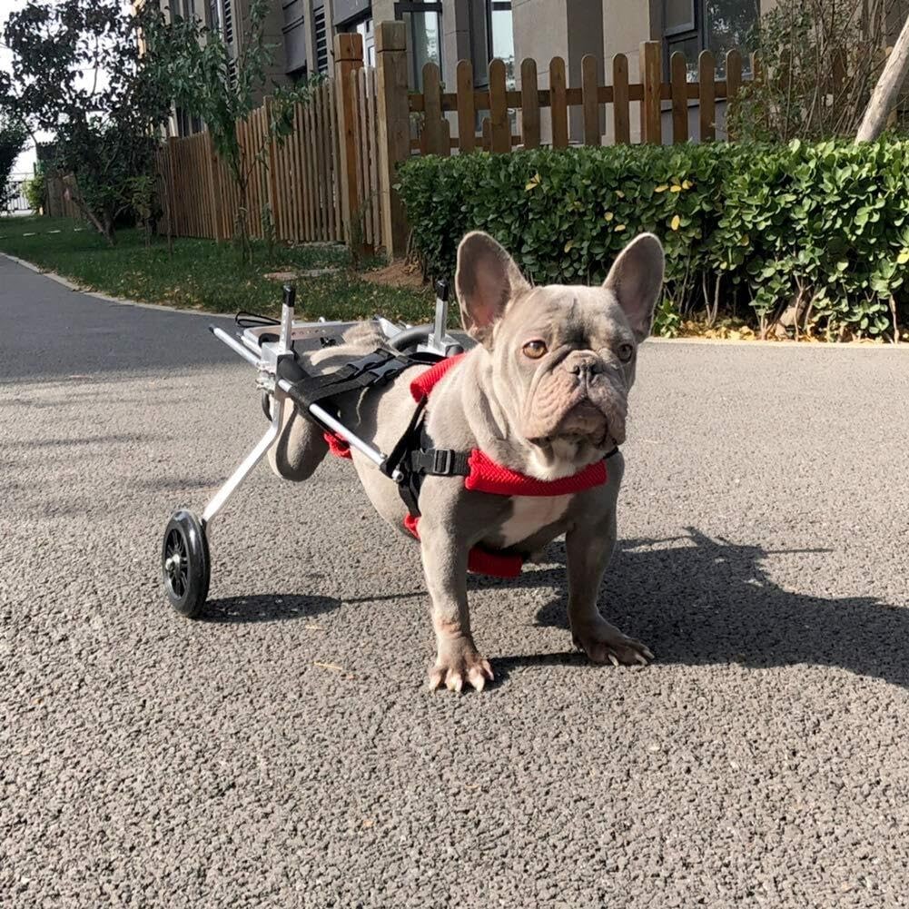 Chariot pour chien de 1 à 10 kg réglable pour la rééducation des pattes arrière
