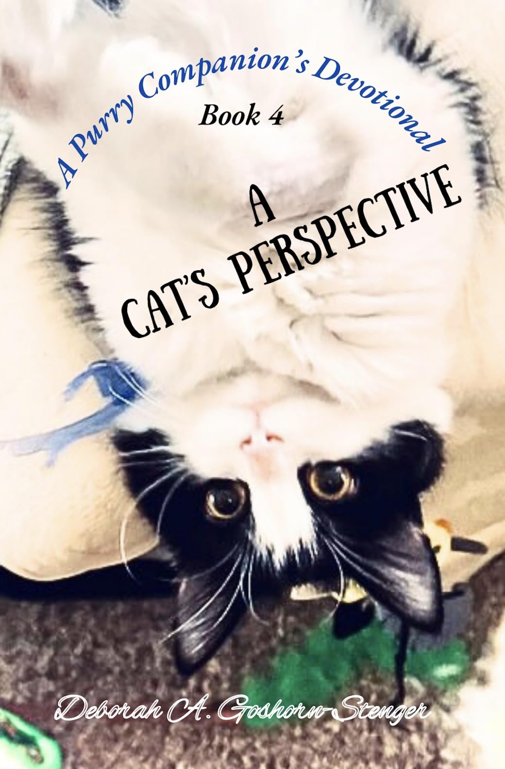 A Cat's Perspective Devotional (The Purry Companion's Series Book 4)